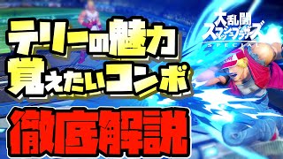 【スマブラSP】初心者にもオススメ！テリー 6つの魅力と使い方、コンボを徹底解説！【初心者向け】 [upl. by Eimirej536]