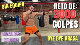 HIIT de Boxeo en Casa 38 Minutos Reto de 3000 Golpes Sin Equipo [upl. by Onibla786]