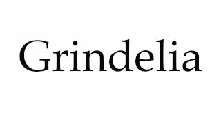 How to Pronounce Grindelia [upl. by Sothena953]