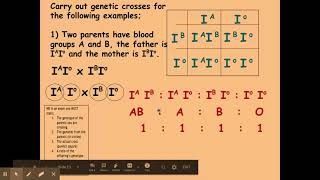 612 Patterns of inheritance b Multiple alleles [upl. by Howzell]