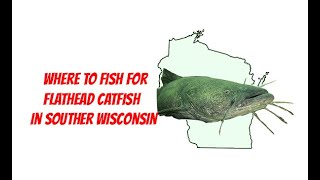 Flathead Catfish Fishing Spots in Southern Wisconsin Where to bag that Catfish [upl. by Aek283]