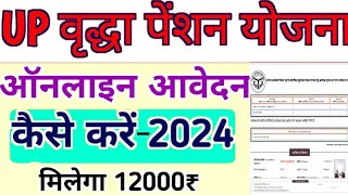 Vridha Pension Online Apply 2024Vridha Pension Online Kaise Kareवृद्धा पेंशन ऑनलाइन आवेदन ll [upl. by Thea925]