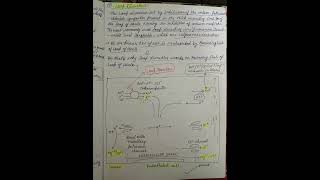 Medicinal chemistry DIURETIC notes pharmacy medicinalchemistry notes diuretics [upl. by Zulema]