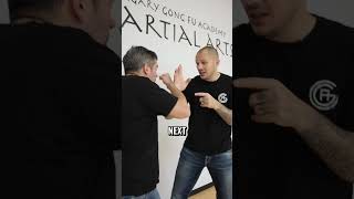 Boxing vs Wing Chun Which one wins [upl. by Suirauqram766]