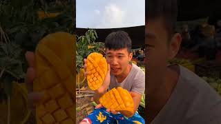 big mango fruit 🥭🥭 freshfruits fruitcutting fruit mango amazingfruit amazingfruitcutting [upl. by Wardle]