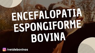 Encefalopatia Espongiforme Bovina 043 [upl. by Amzaj160]