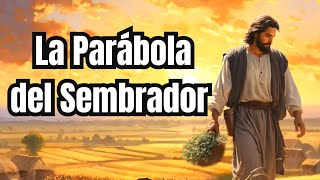 LA PARÁBOLA DEL SEMBRADOR  Lecciones de Jesús para la Vida Diaria  Reflexión Bíblica [upl. by Eednas]