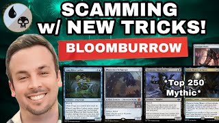 MY FAVORITE NEW DECK BY FAR Bloomburrow Standard [upl. by Roseann]