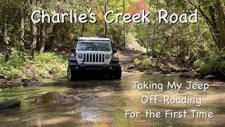 Charlies Creek Road  First Time Taking My Jeep OffRoading  Camping  Georgia Traverse Clayton GA [upl. by Aletha164]