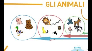 LA CLASSIFICAZIONE DEGLI ANIMALI SCUOLA PRIMARIA [upl. by Aelahs66]