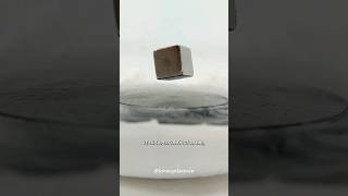 Quantum levitation is unbelievable 🤯🤯 science sciencefacts [upl. by Rainie433]