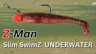 How Does The ZMan Slim SwimZ Look Underwater  FISHING  Calico Candy [upl. by Bethel]