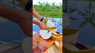 Coconut fruit cutting coconut food fruit oddlysatisfying satisfying [upl. by Ormiston165]