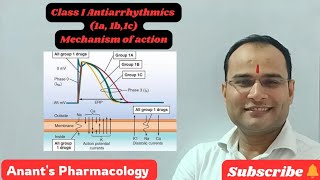 Class I Antiarrhythmics Use dependent blockadeIa Ib Ic [upl. by Thia]