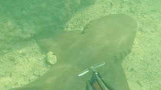 Shallow water spear fishing during windy day in Cudjoe Key Florida [upl. by Aynod688]