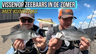 VISSEN OP ZEEBAARS MET KUNSTAAS IN DE ZOMER [upl. by Casia968]