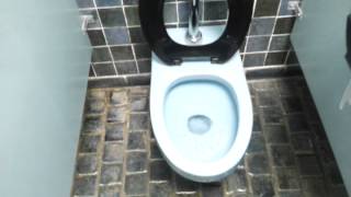 Bathroom Tour BLUE American Standard Toilet Le Chateau Village Frontenac missouri [upl. by Aidan994]