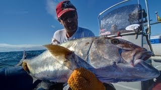 Pez Limon  Medregal Seriola Dumerili con calamar vivo  Amberjack on live squid [upl. by Ynamreg399]