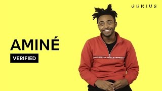 Aminé quotCarolinequot Official Lyrics amp Meaning  Verified [upl. by Weissmann]