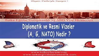 Diplomatik ve Resmi Vizeler A G NATO Nedir [upl. by Pippy]