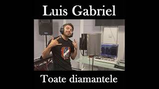 Luis Gabriel  Toate diamantele ManeleTech Remix [upl. by Erodroeht]