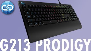 Logitech G213 Prodigy Review  DER BESTSELLER UNTER DEN GAMING TASTATUREN [upl. by Hughie]