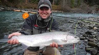 BC Steelhead Fly Fishing  Skeena River British Columbia [upl. by Nikolas]