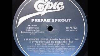 If You Dont Love Me Future Sound Of London Stateside Swamp Mix  Prefab Sprout [upl. by Airamahs]