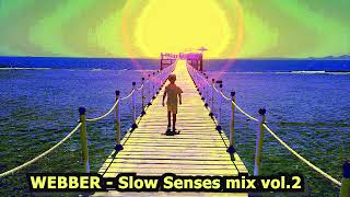 WEBBER  SLOW SENSES mix vol2  Slow deep Tech House SlowSensesMix [upl. by Aset437]