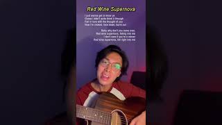 Red Wine Supernova  Chappell Roan Cover [upl. by Akeihsat]