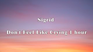 Sigrid  Dont Feel Like Crying 1 hour with lyrics [upl. by Ynttirb]