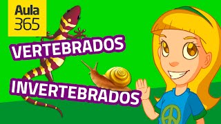 Animales Vertebrados e Invertebrados Parte 1  Videos Educativos Aula365 [upl. by Ailisab]