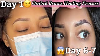 Ombre Brows Healing Process [upl. by Animas]