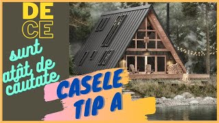 Casa TIP A  Case din lemn  Proiect arhitectura la mare cautare [upl. by Enirahtak913]