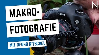 NOVOFLEX  Makrofotografie mit Bernd Ritschel [upl. by Aala30]