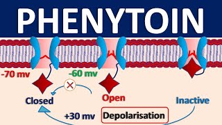 Phenytoin  Mechanism side effects precautions amp uses [upl. by Tenenbaum154]