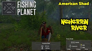 American Shad Neherrin River  Fishing Planet [upl. by Sonnie514]