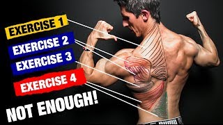 The PERFECT Back Workout Sets and Reps Included [upl. by Alex]