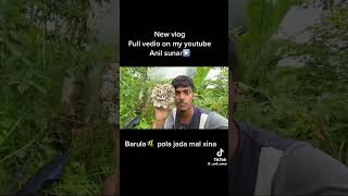 Barula ko pola anil sunar vlog nepal anil newvlog [upl. by Monto335]