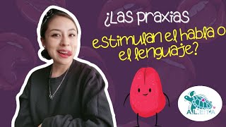 ¿Sirven las praxias para estimular el habla o lenguaje  Ineficacia de las praxias orofaciales [upl. by Ahsillek]