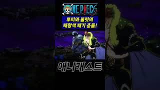 충돌하는 루피와 불릿의 패왕색 패기  ∥원피스 리뷰∥  shorts [upl. by Dranrev]