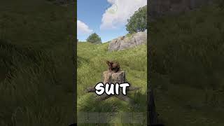 👻 RUST GLITCH  Hide In a Wood Stump 👻 rust rustshorts rusthighlights [upl. by Lavelle565]