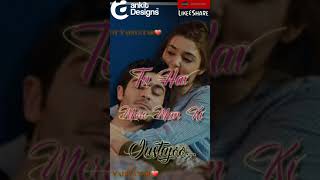 Pyaar Lafzon Mein Kahan Title SongNew 2018 WhatsApp StatusAnkit VadiyatarHayat and Murat [upl. by Kora]