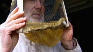 Beekeeping Basics Getting Started [upl. by Demetria]