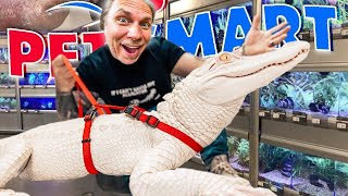 ¡Llevando mi lagarto albino de regreso a Petsmart [upl. by Cypro]