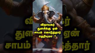 விநாயகர் துளசிக்கு சாபம் கொடுத்த கதை உங்களுக்கு தெரியுமா  hindumythology lordshiva sivan facts [upl. by Thill]