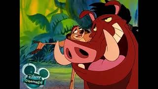 Timon amp Pumbaa Intro [upl. by Paresh446]