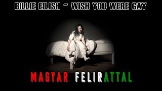 Billie Eilish  wish you were gay  MAGYARUL [upl. by Swiercz696]