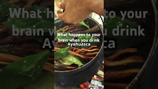 What Happens to Your Brain on Ayahuasca [upl. by Eneryt883]