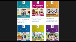 Descargar TEXTOS del Ministerio de Educación BOLIVIA 2024 📚 ACTUALIZADO [upl. by Mimi]